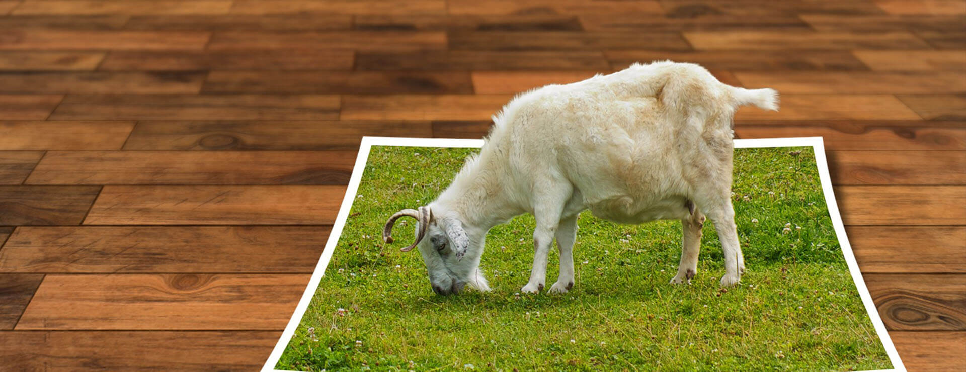 blog-post-bannner-optimize-images blog-post-bannner-optimize-images